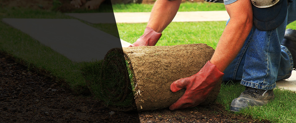 Guin Landscapers